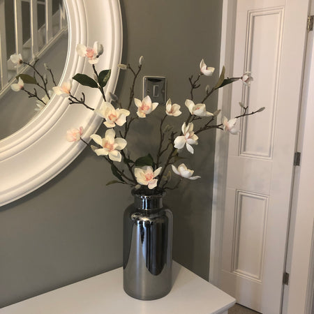 White Blush Magnolia stem