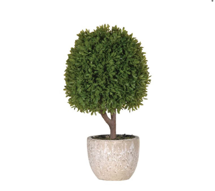 Boxwood ball topiary plant in stone plant pot