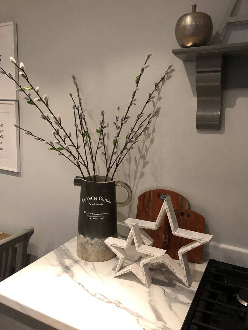 Natural Pussy Willow with leaf