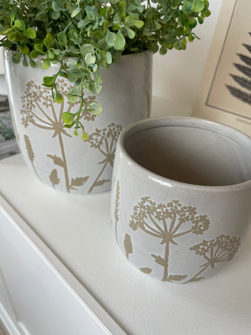 Cows parsley neural plant pot 2 sizes