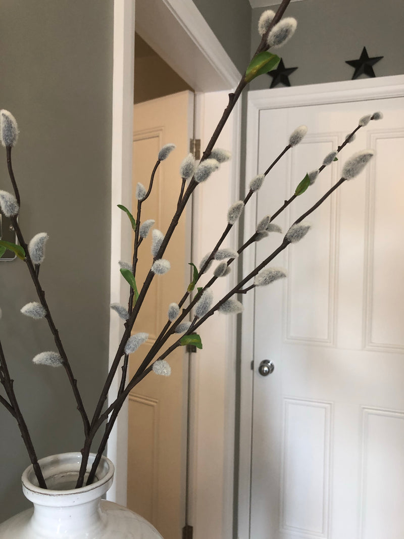 Natural Pussy Willow with leaf