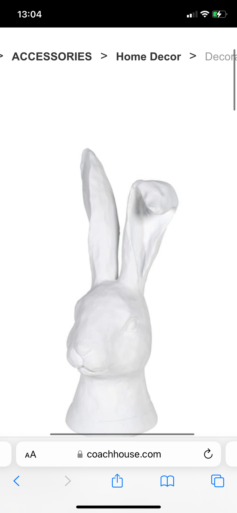 White Ear Flop Rabbit Head