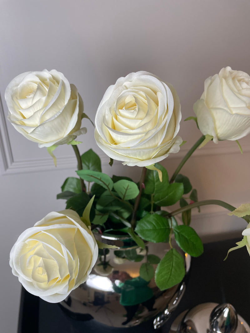 White Vienna rose single stem