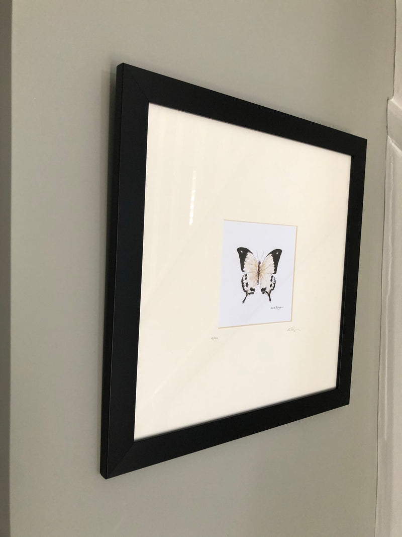 Butterfly print in frame by local artist Keith Burgess