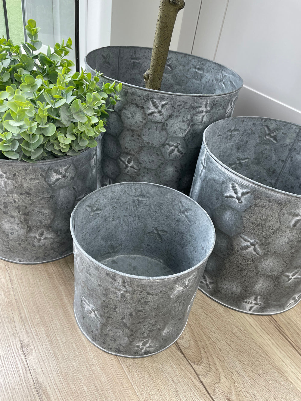 Tin plant online pots