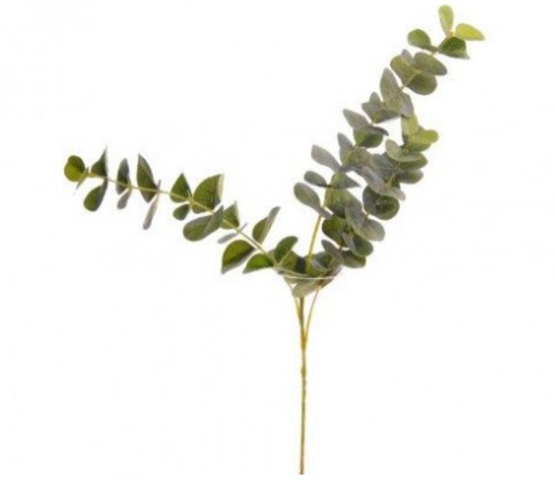 Green eucalyptus simple value spray 60cm