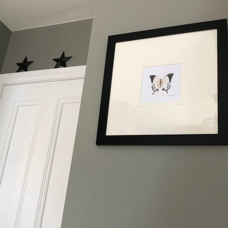 Butterfly print in frame by local artist Keith Burgess