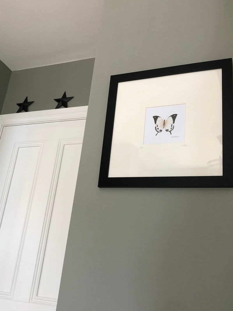 Butterfly print in frame by local artist Keith Burgess