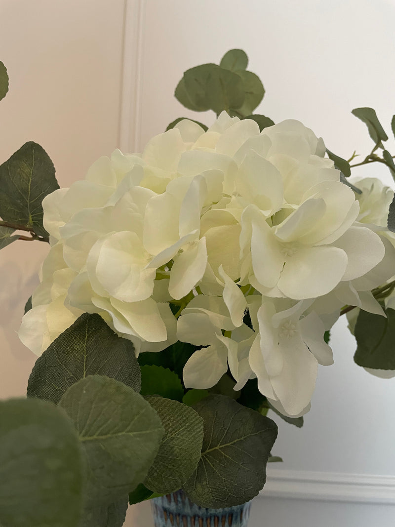 Tall white classic hydrangea stem