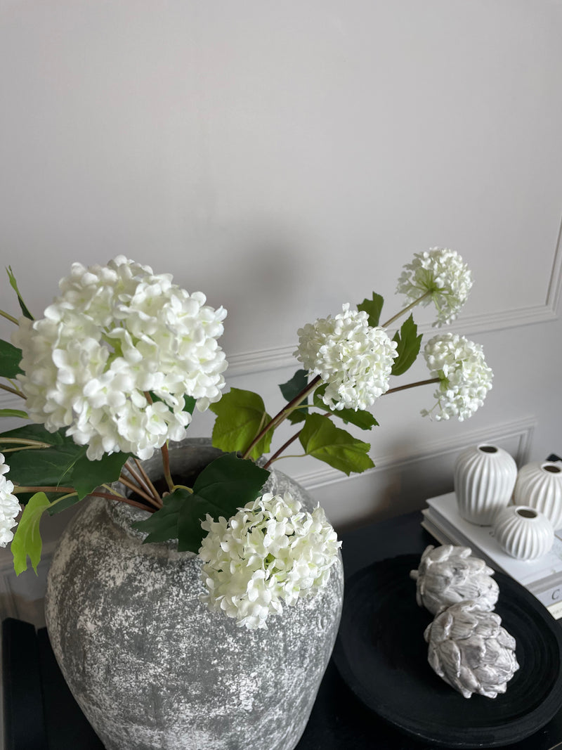 Viburnum Opulus snowball floral stem