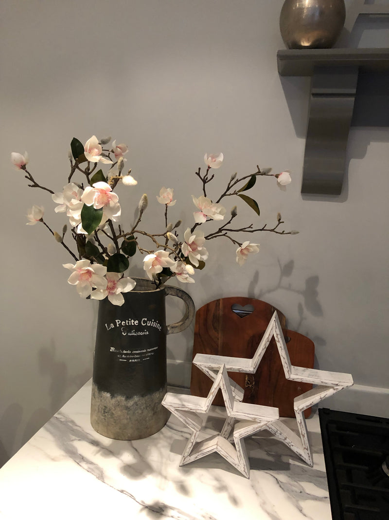 White Blush Magnolia stem