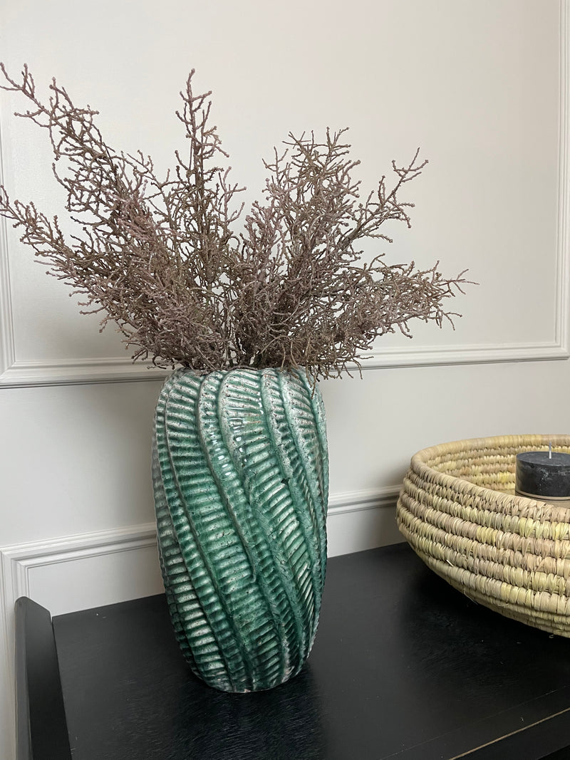 Coral santolina grass bunch