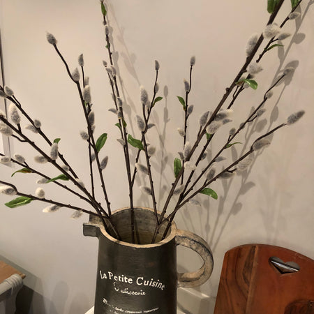 Natural Pussy Willow with leaf