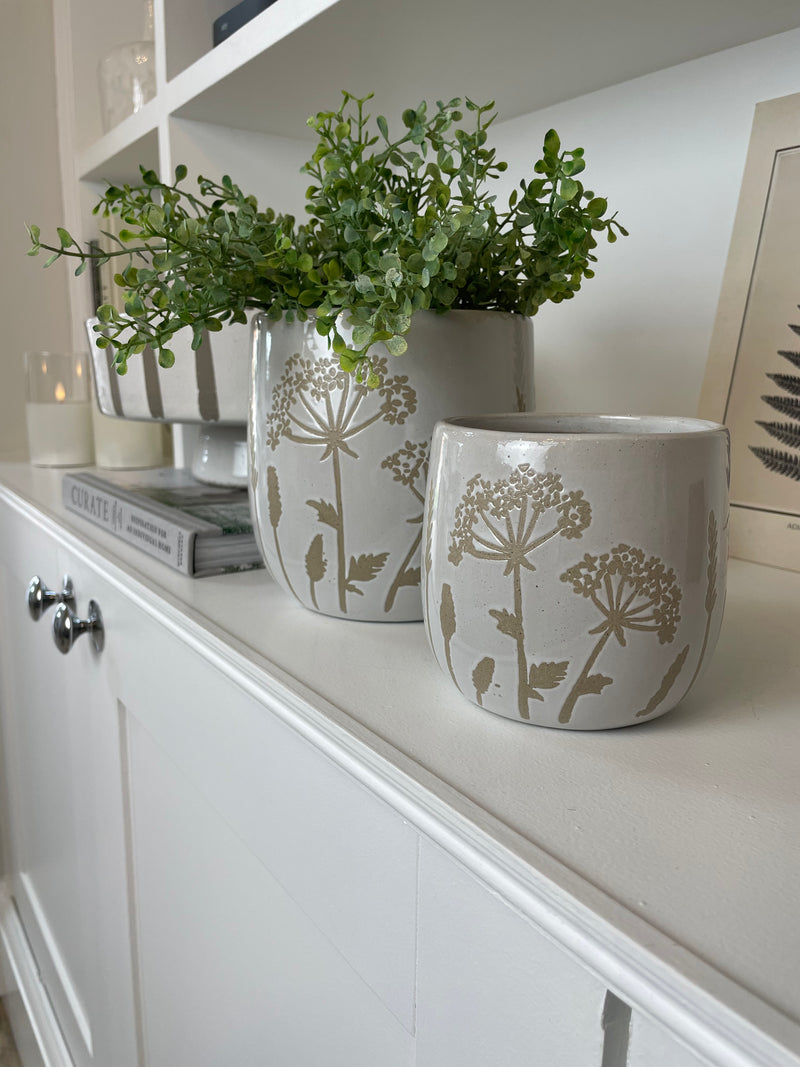 Cows parsley neural plant pot 2 sizes