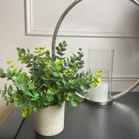 Eucalyptus Bunch in Grey stone Pot