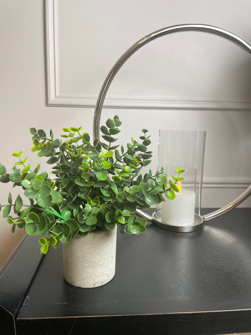 Eucalyptus Bunch in Grey stone Pot