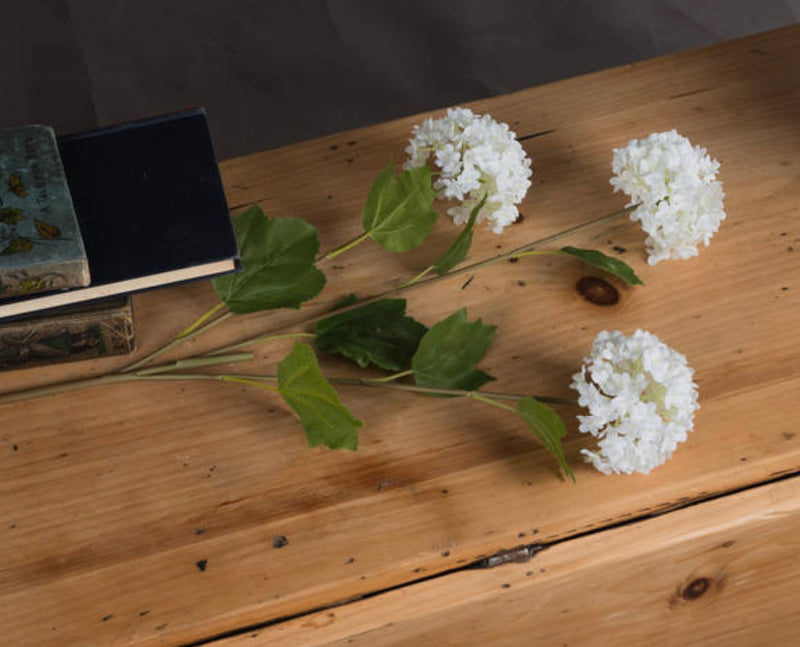 Viburnum Opulus snowball floral stem