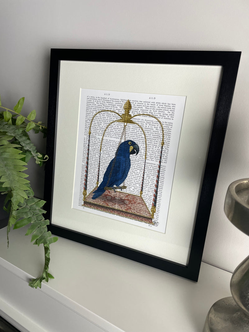 Parrot blue framed print