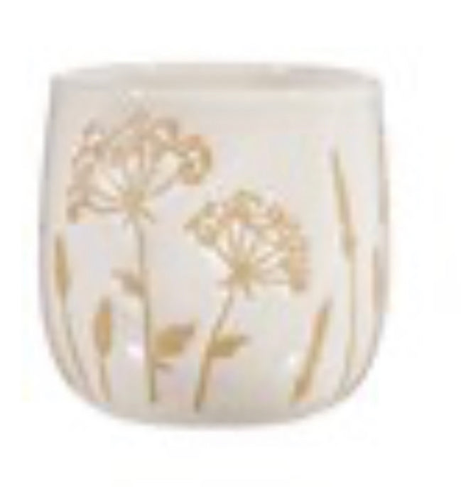 Cows parsley neural plant pot 2 sizes