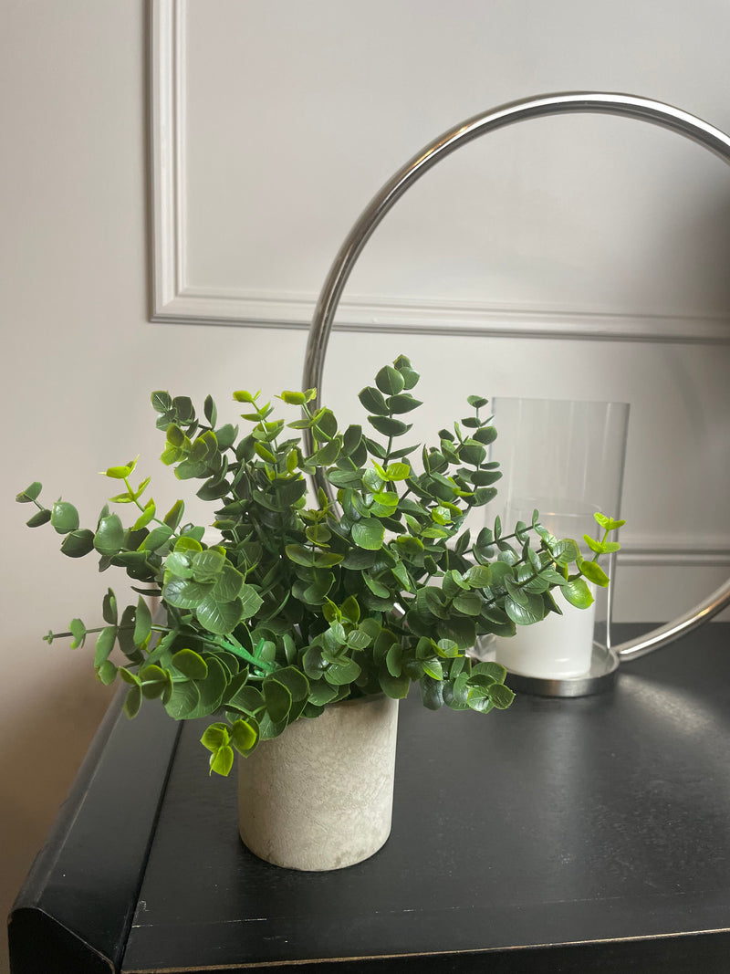 Eucalyptus Bunch in Grey stone Pot