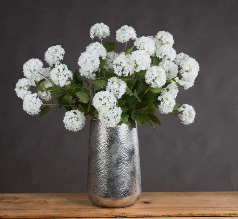 Viburnum Opulus snowball floral stem