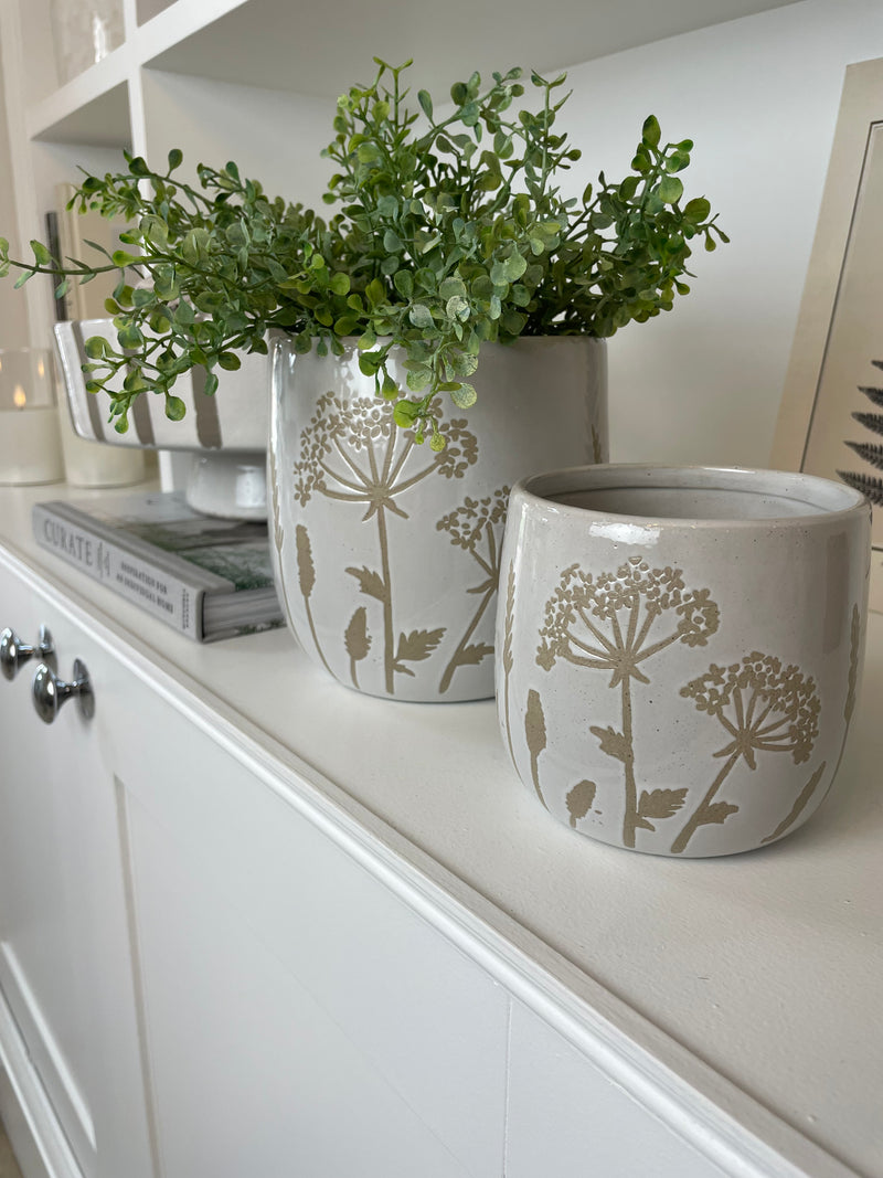 Cows parsley neural plant pot 2 sizes