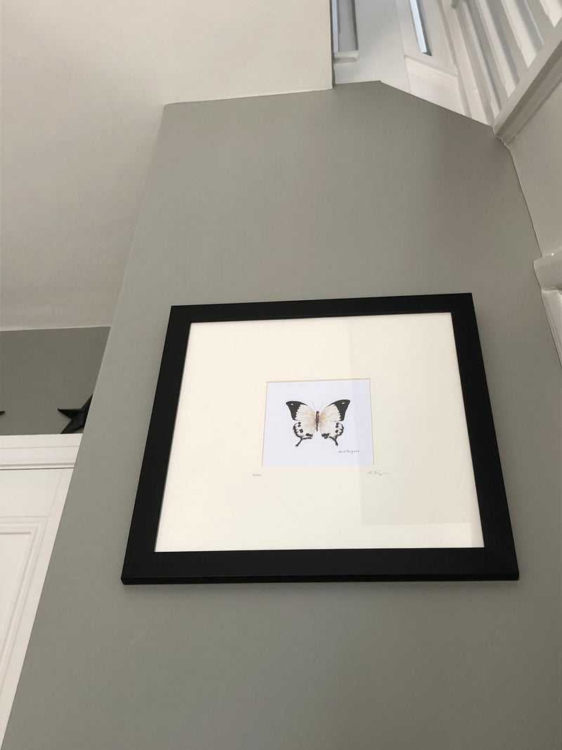 Butterfly print in frame by local artist Keith Burgess