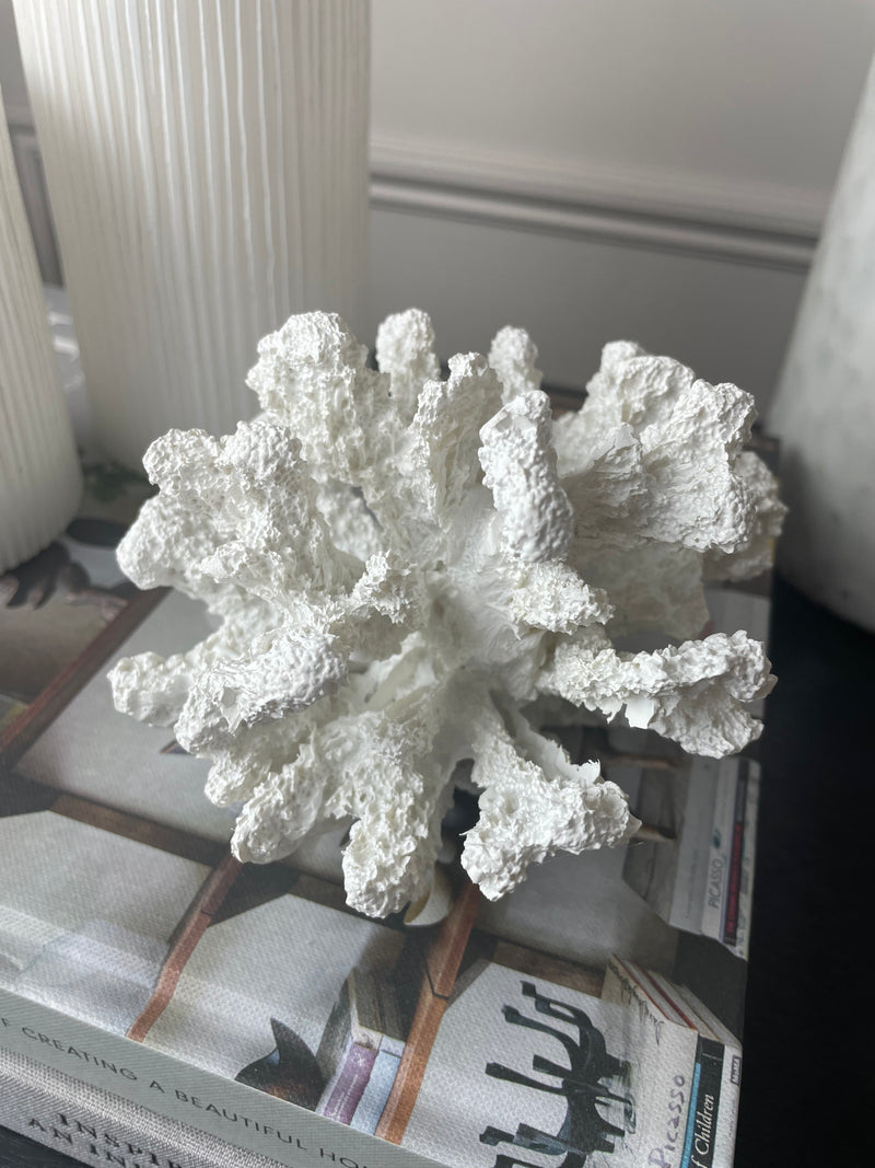Small chunky round Coral on Stand