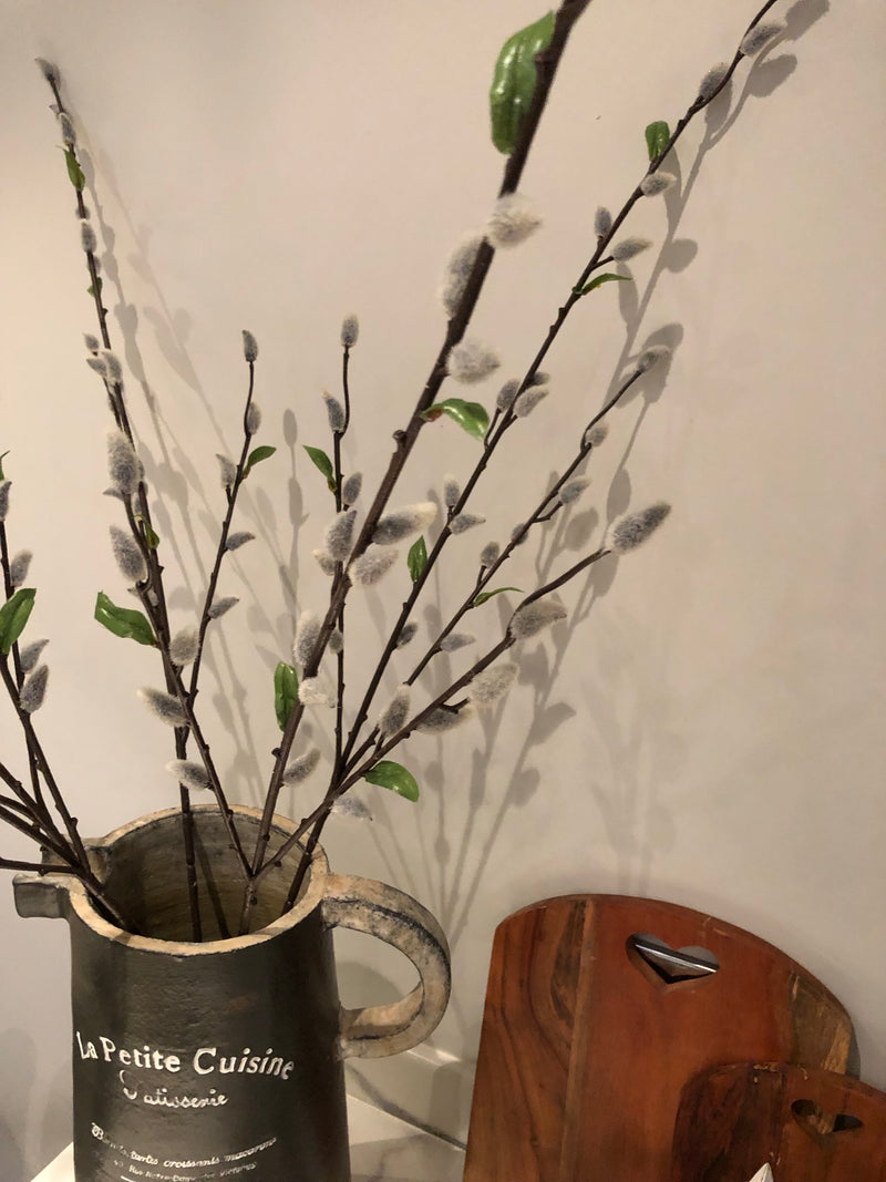 Natural Pussy Willow with leaf