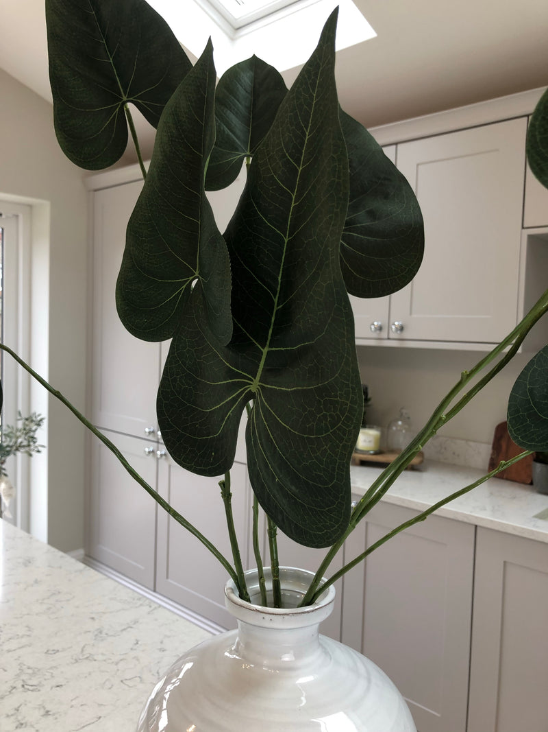 Green natural palm Philadendron spray stem
