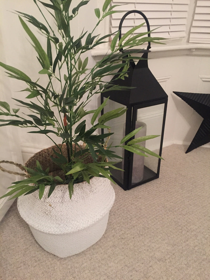 Faux  Bamboo in Black Pot