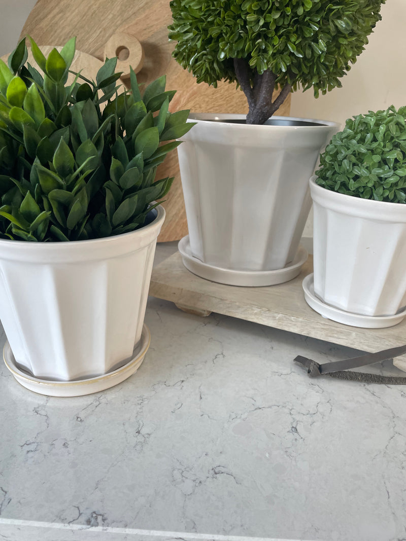 Extra large white ribbed plant pot on plate