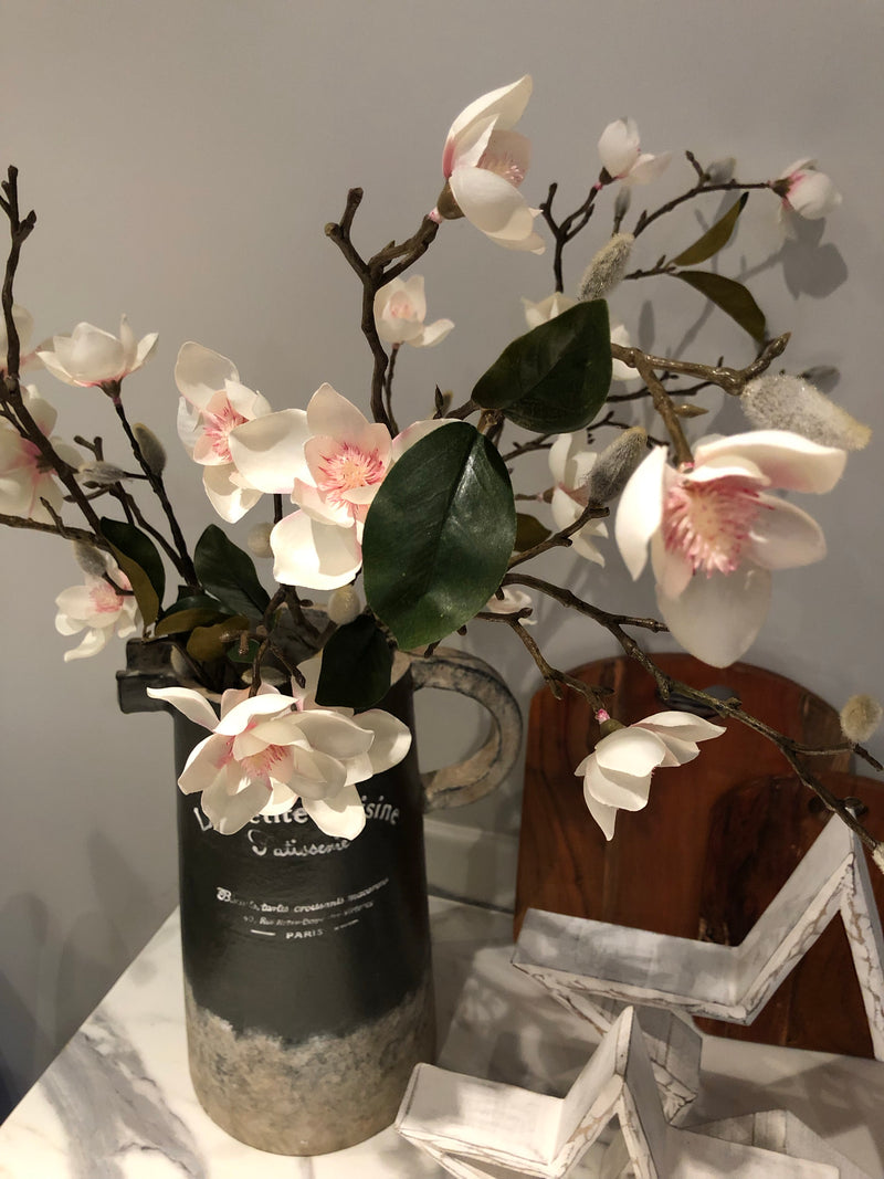 White Blush Magnolia stem