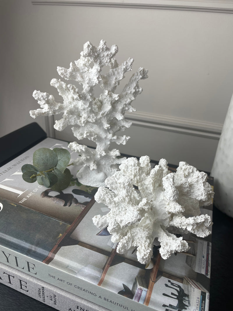 Small chunky round Coral on Stand