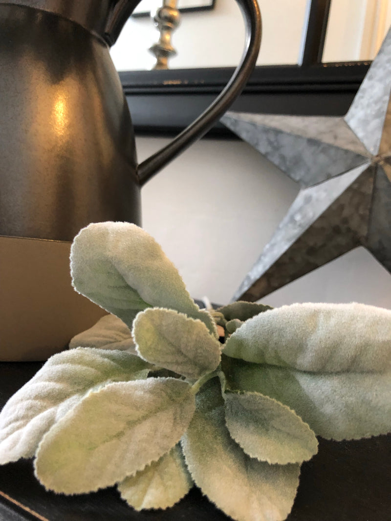 Lambs ear stem