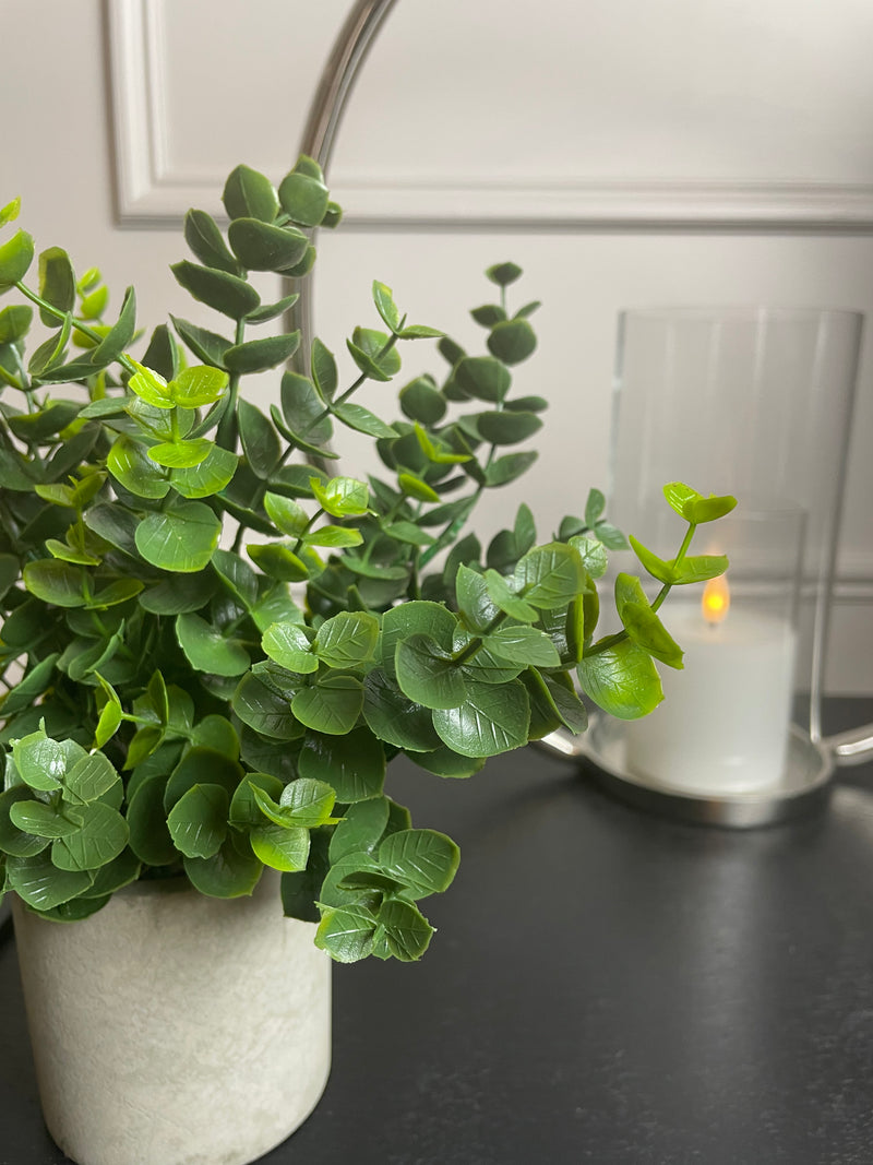 Eucalyptus Bunch in Grey stone Pot