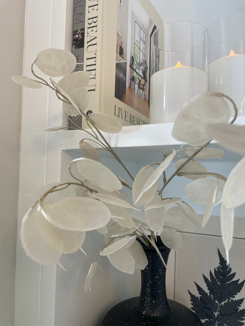 Clear honesty spray stem