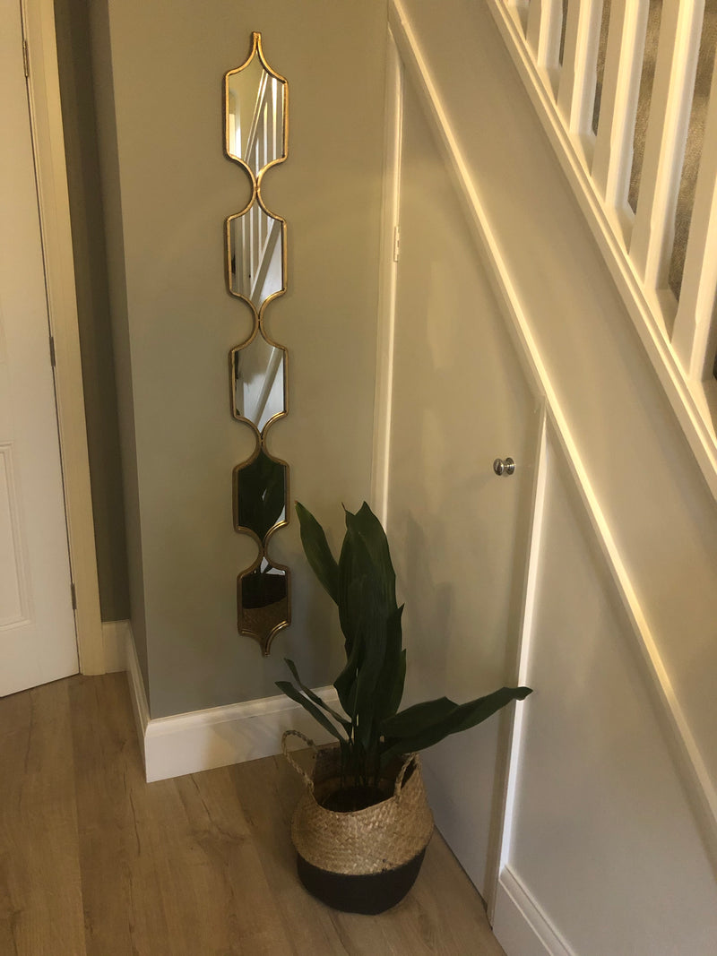 Tall slim gold decorative mirror