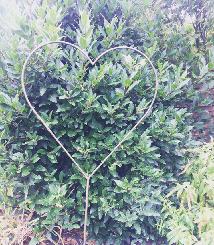 Large Metal Garden Heart Stake 135cm Tall