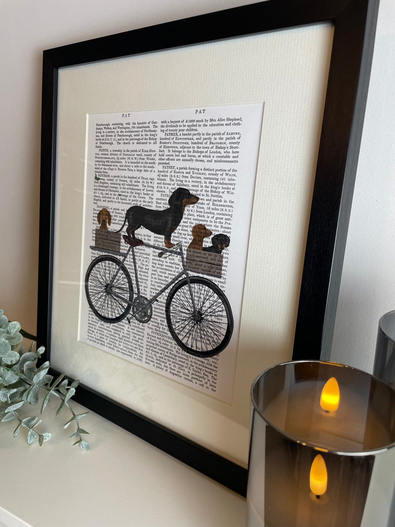 Sausage Dog on Bike Framed Print