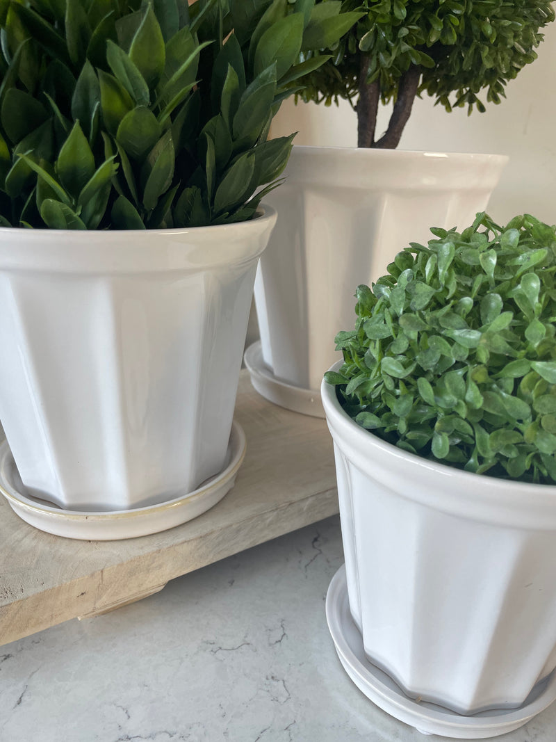 Extra large white ribbed plant pot on plate