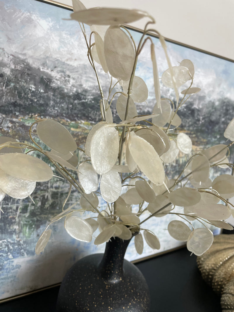 Clear honesty spray stem
