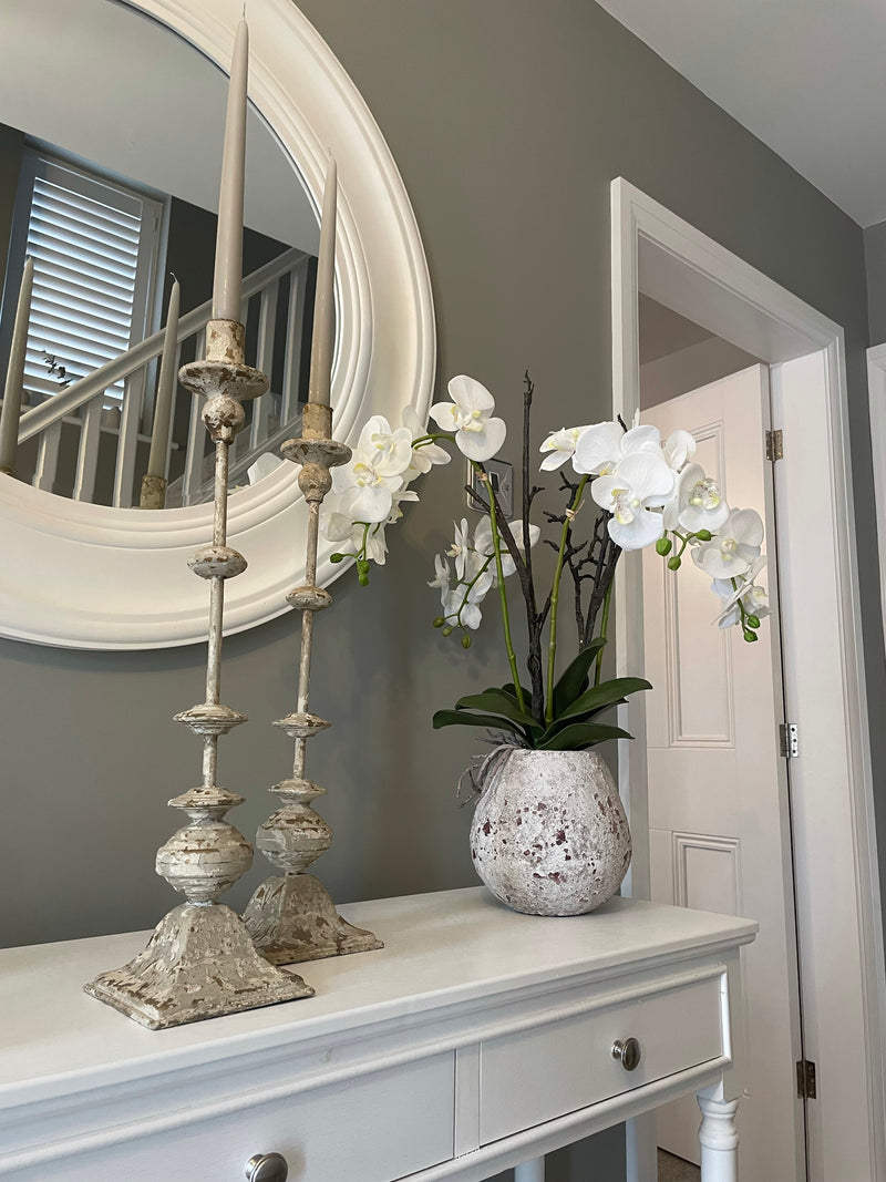 Extra Large White tall orchid in stone pot