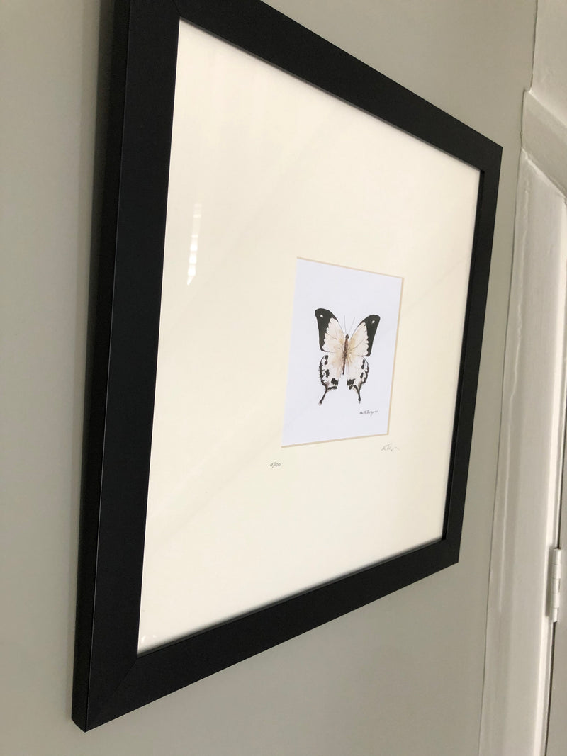 Butterfly print in frame by local artist Keith Burgess