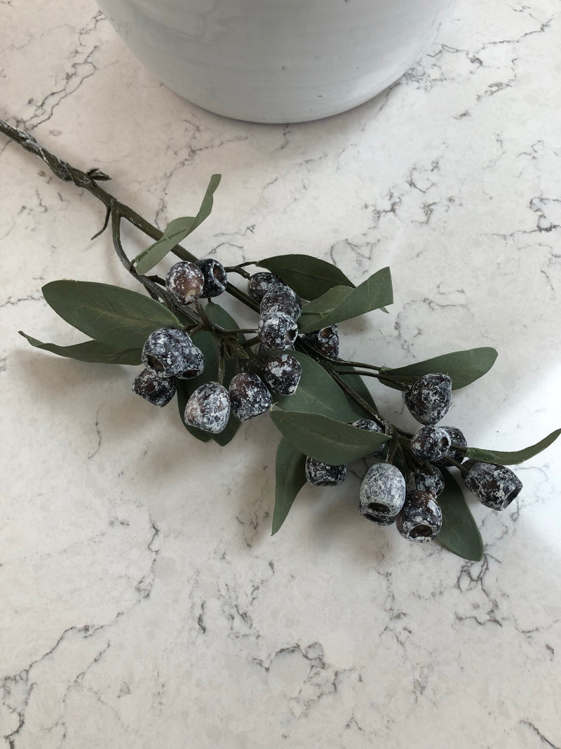 Eucalyptus blue berry spray