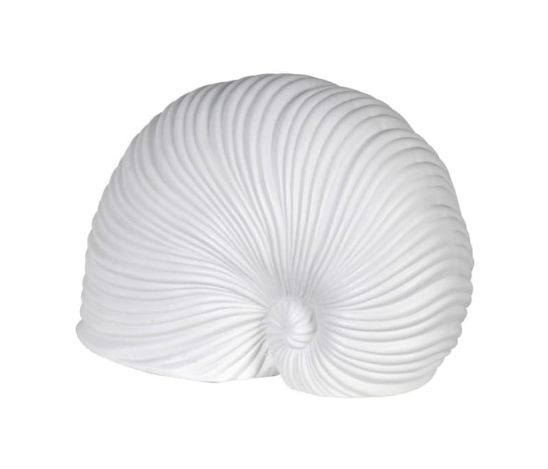 White Sea snail shell ornament
