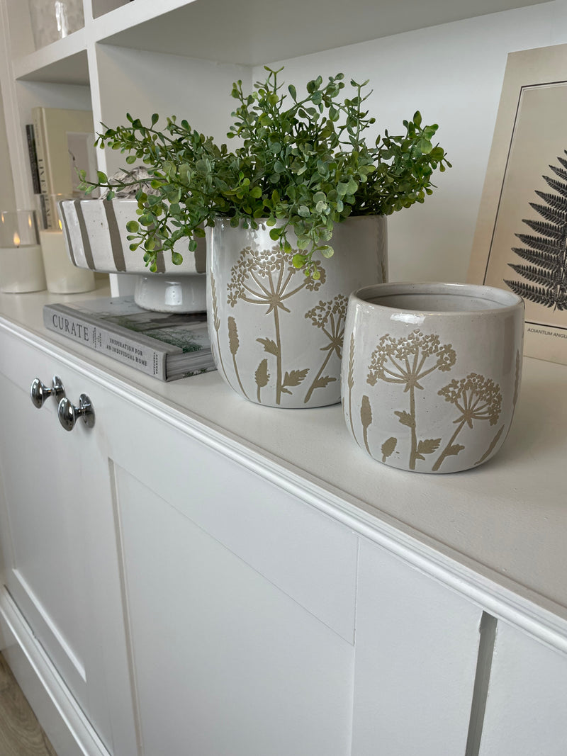 Cows parsley neural plant pot 2 sizes