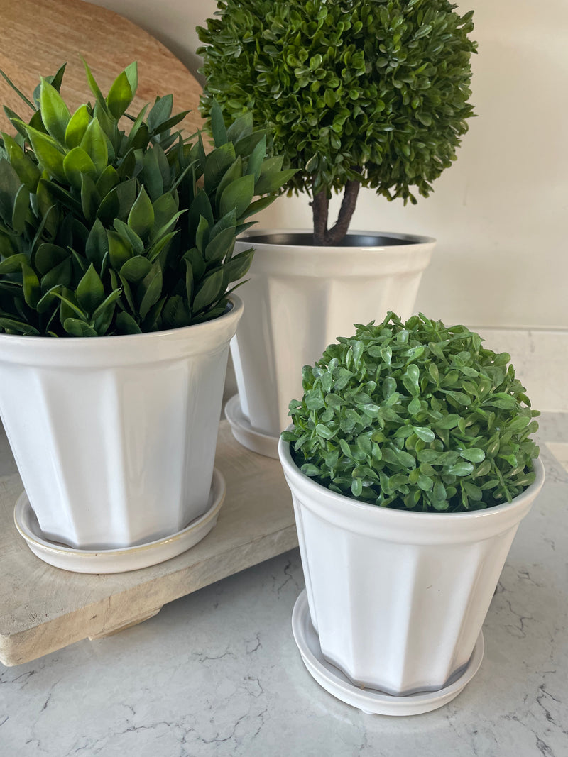 Extra large white ribbed plant pot on plate