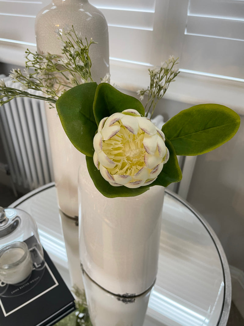 Off white closed protea stem