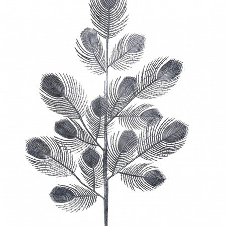Parlane silver Peacock spray stem